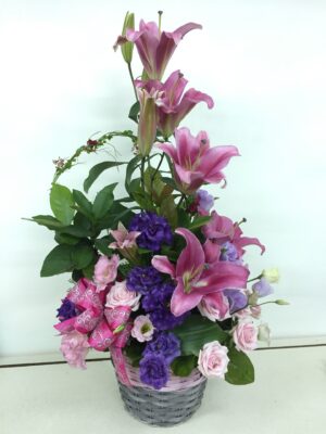 編號:C0028----拉丁風情盆花